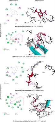 In vitro and in silico biopotentials of phytochemical compositions and antistaphylococcal and antipseudomonal activities of volatile compounds of Argania spinosa (L.) seed oil